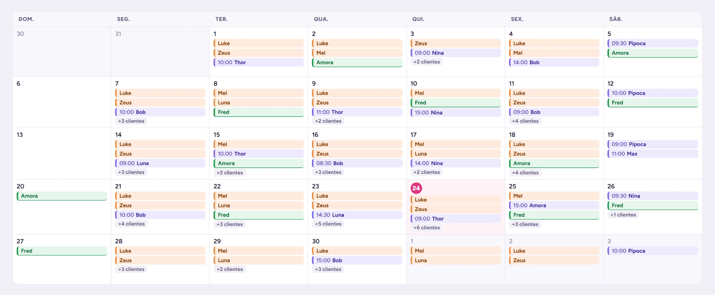 Operação do PetHub no calendário do mês, com creche e banho e tosa